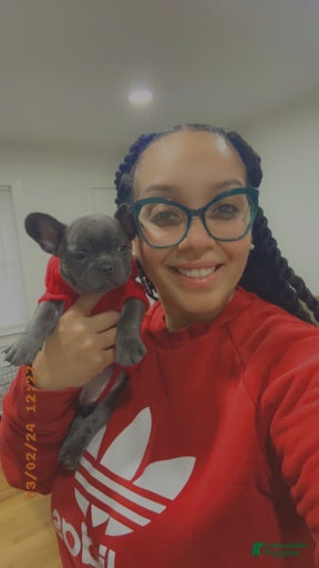 Gallery Image {{count}}