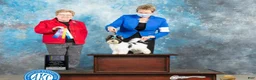 Biewer Terrier dogs for sale: Buddie - Ad 7