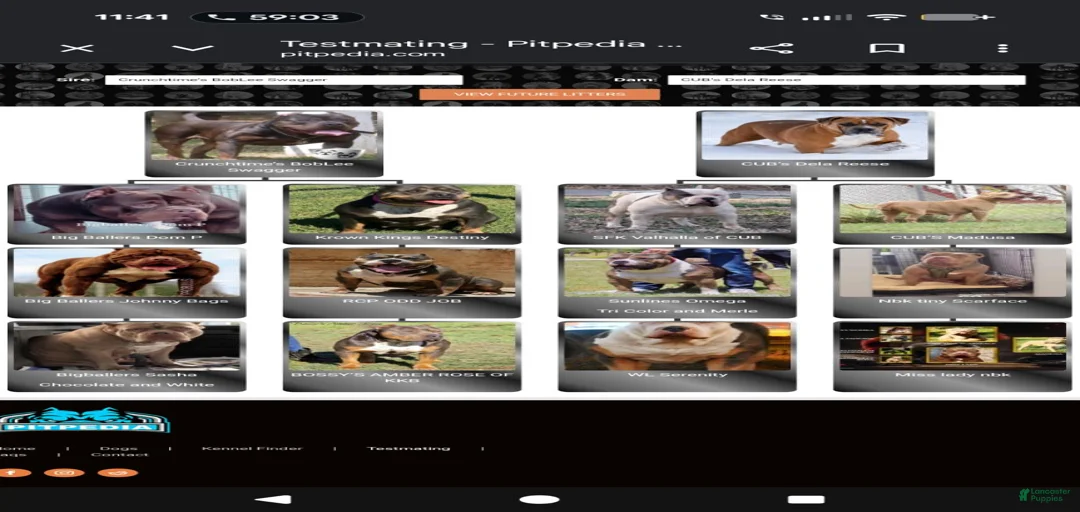 Gallery Image {{count}}