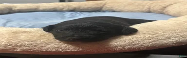  Unique