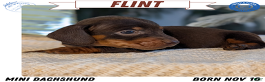 Flint