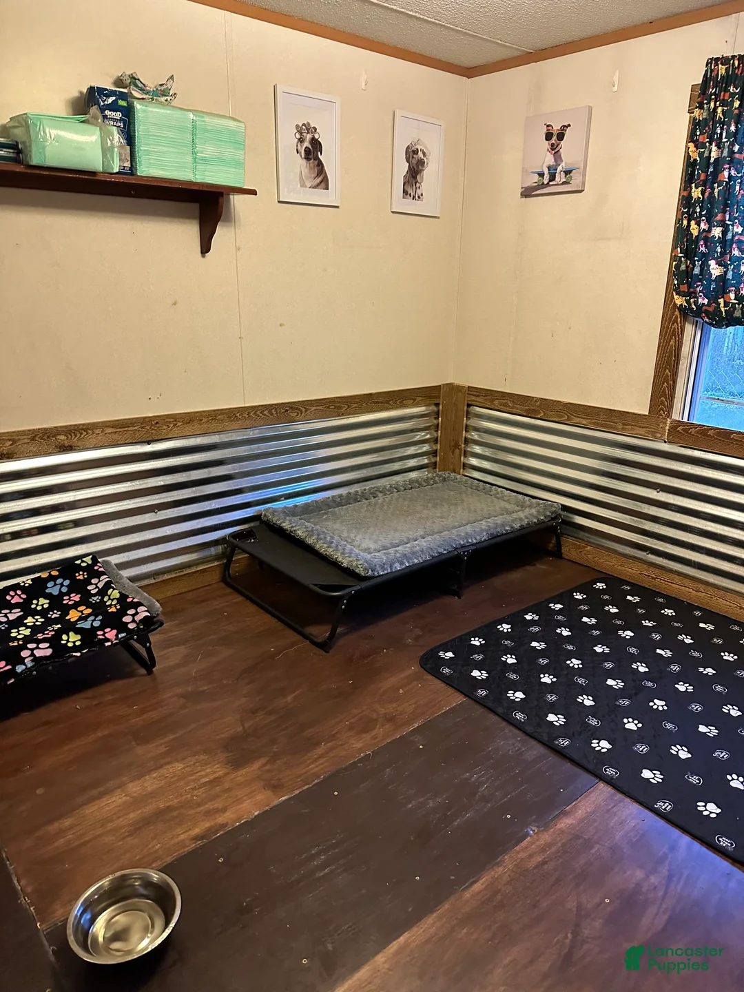 Gallery Image {{count}}