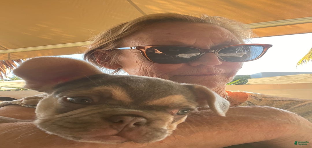 Gallery Image {{count}}