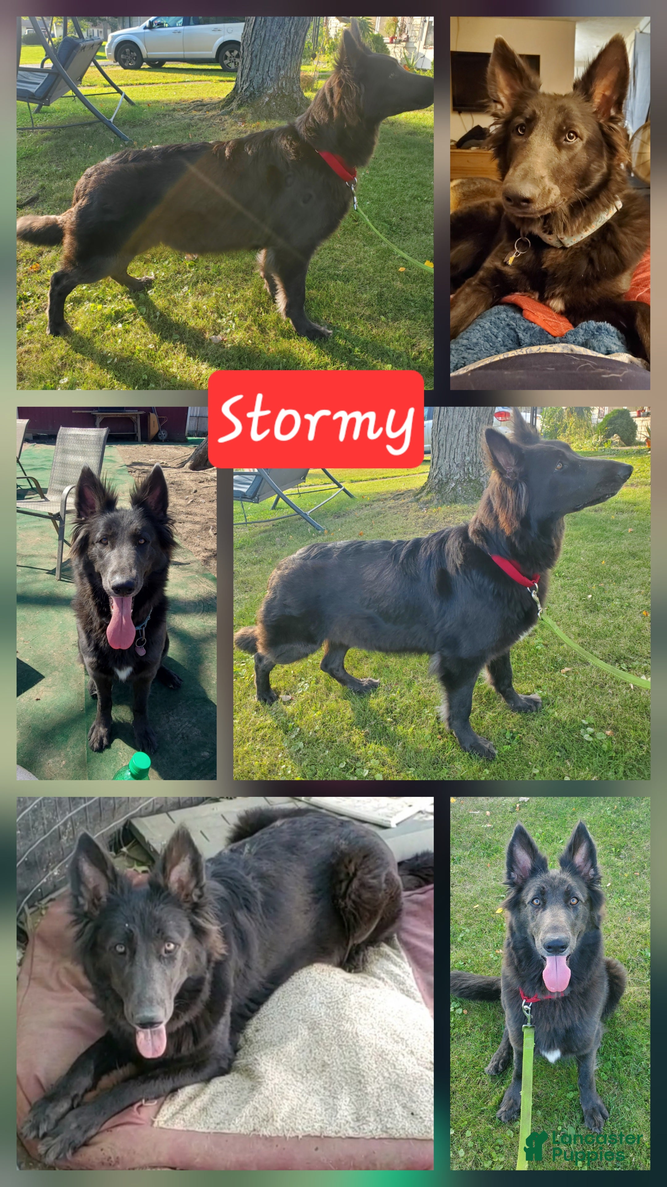 Stormy