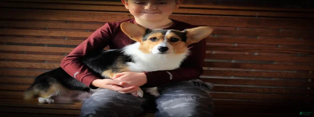 Zoe