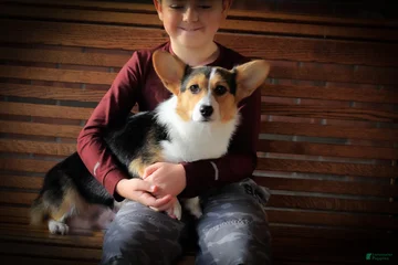 Zoe