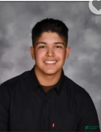 Gallery Image {{count}}