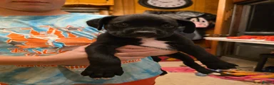 Zion
