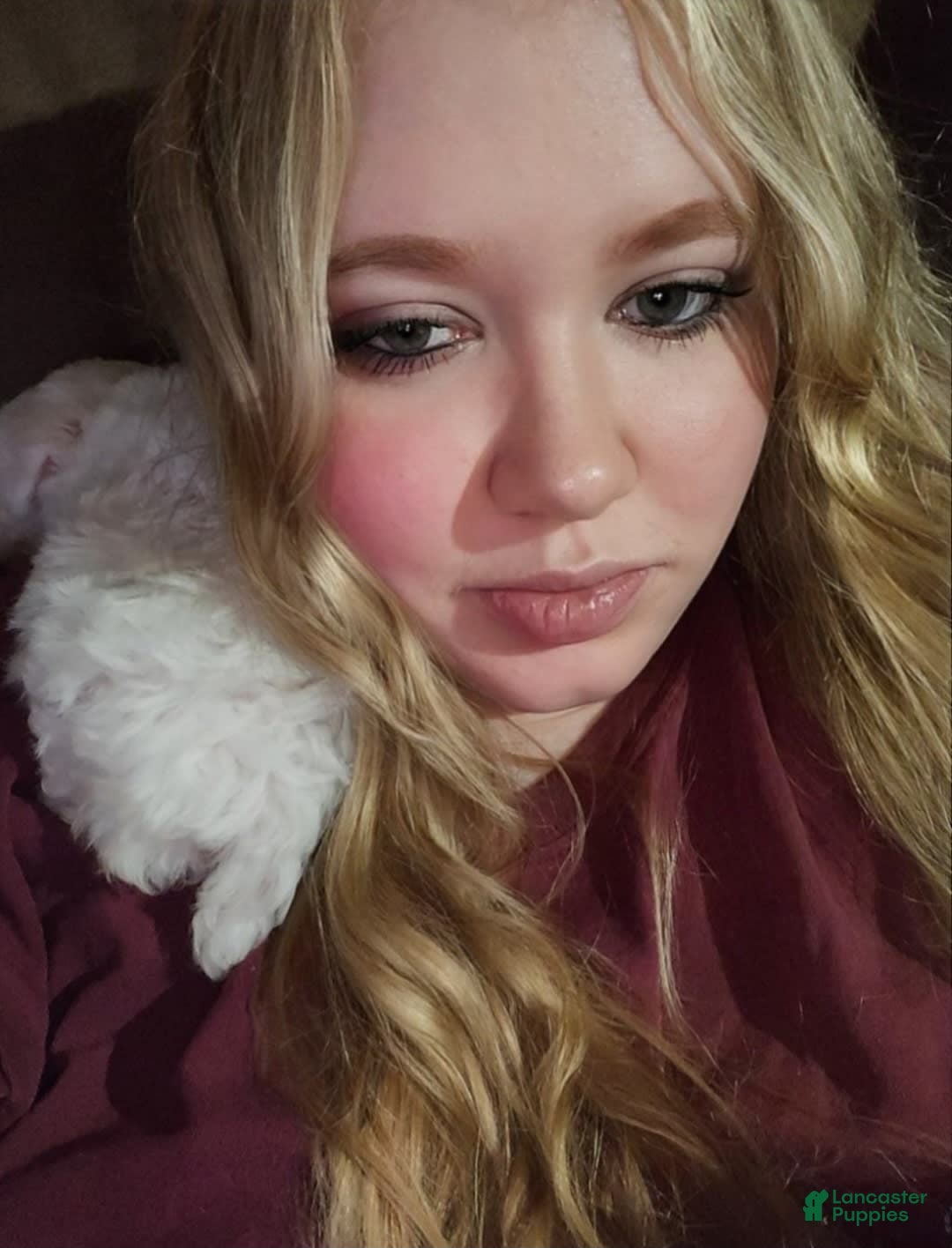 Gallery Image {{count}}