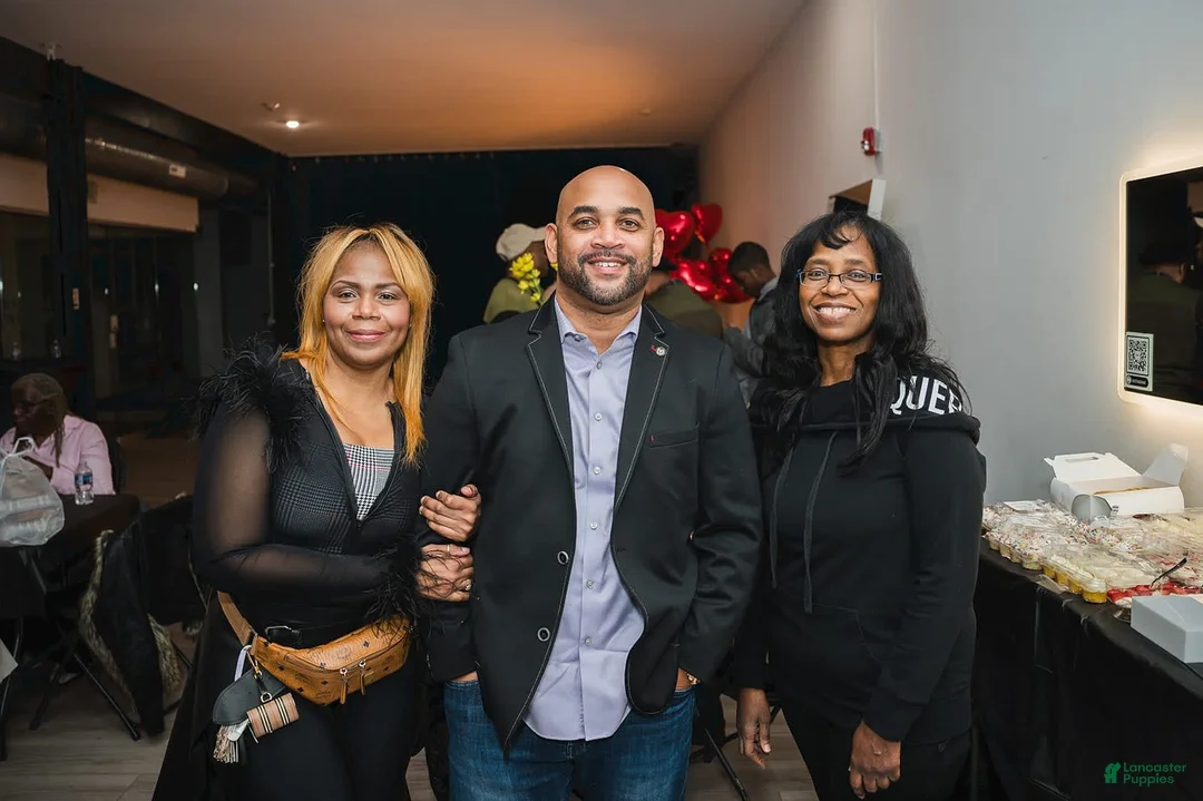 Gallery Image {{count}}