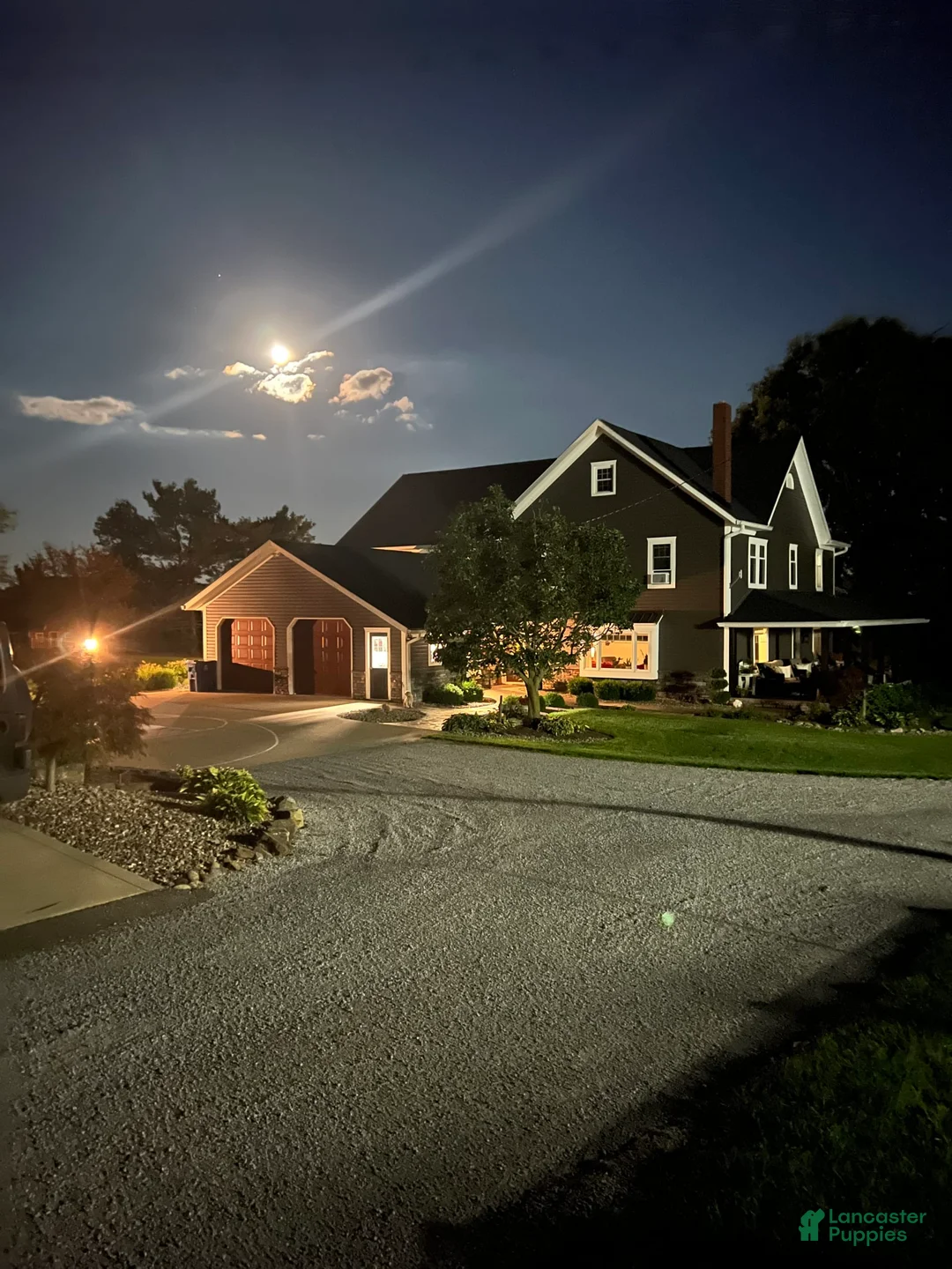 Gallery Image {{count}}