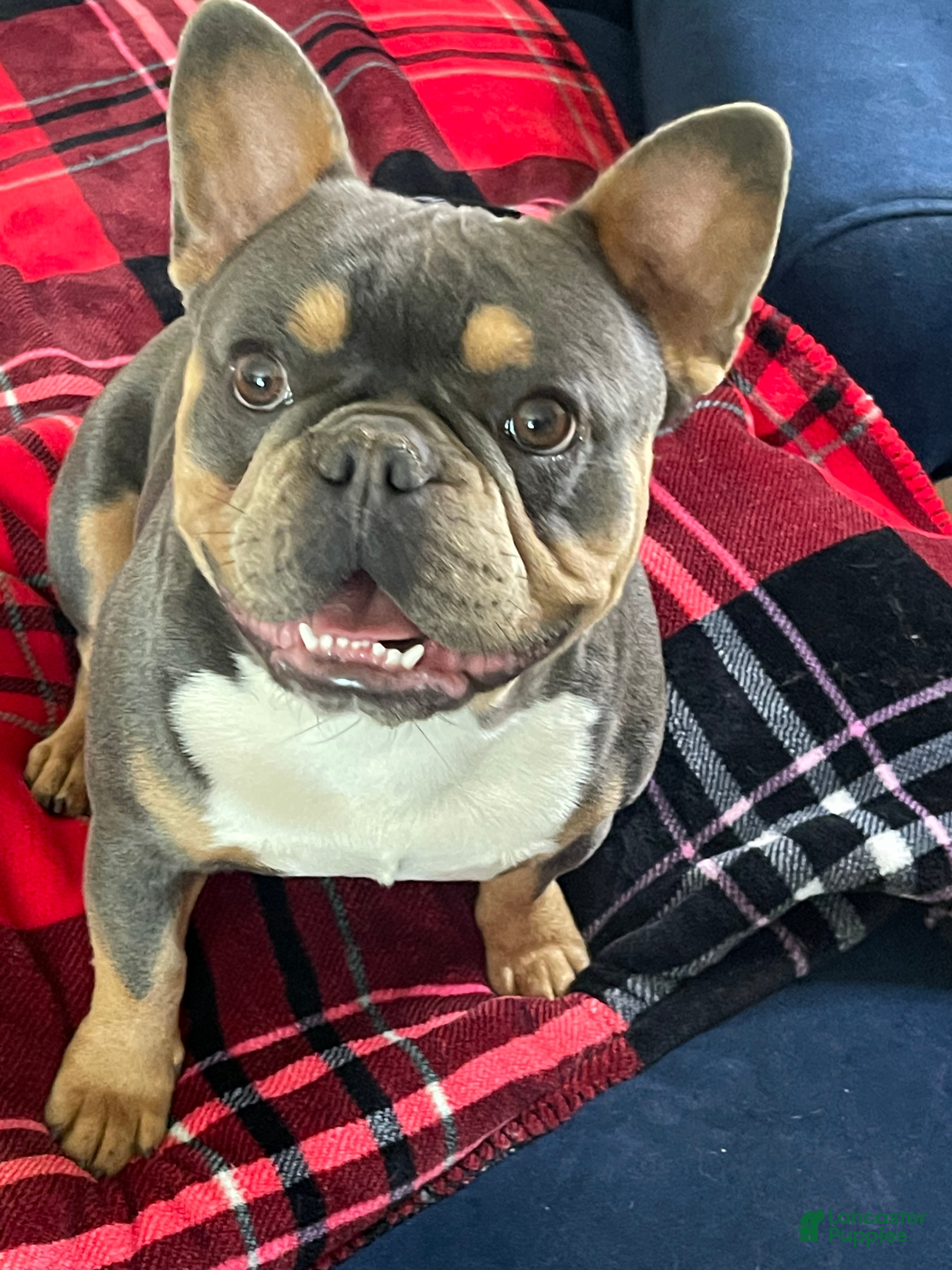 Mac