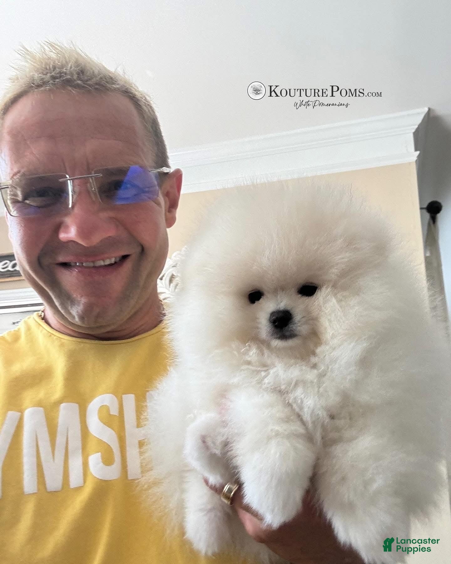 Pomeranian dogs Grace - Ad 9