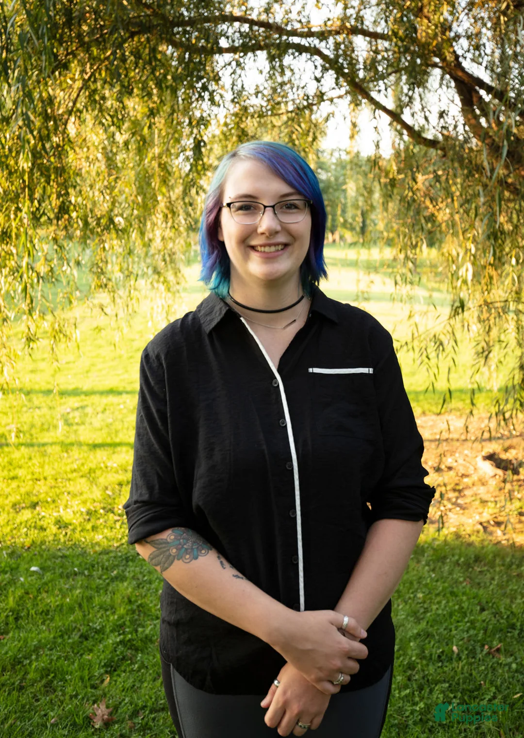 Gallery Image {{count}}