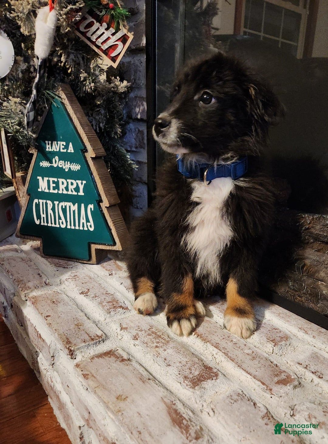 Gallery Image {{count}}