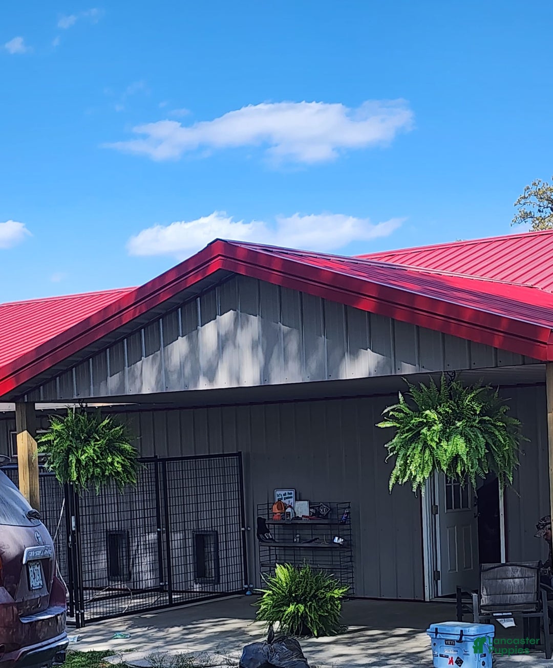 Gallery Image {{count}}