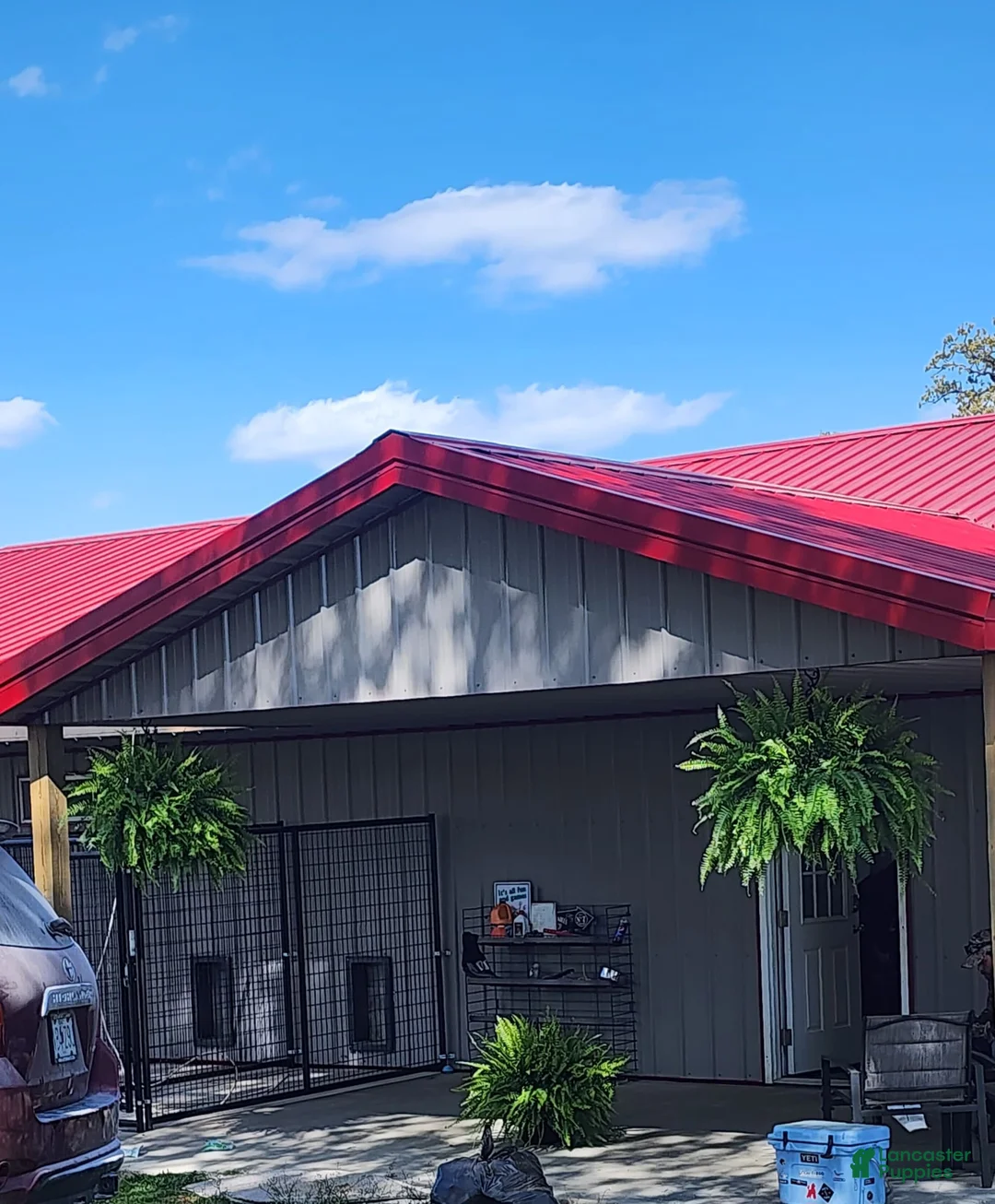 Gallery Image {{count}}