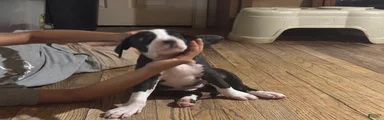 Baby 7