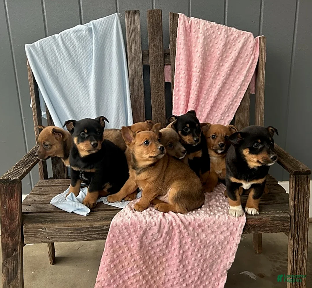 Gallery Image {{count}}