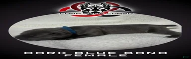 Cane Corso Puppy 13