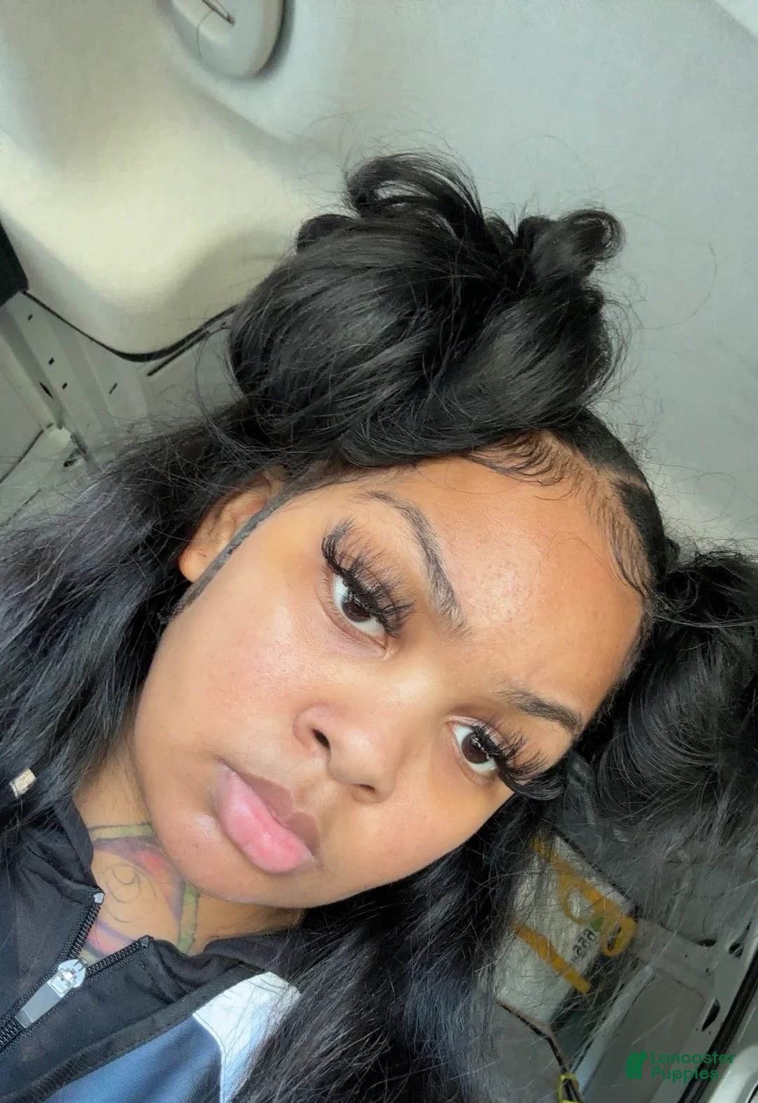 Gallery Image {{count}}