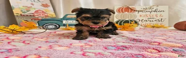 Molly Faye
