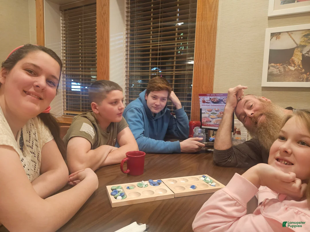 Gallery Image {{count}}