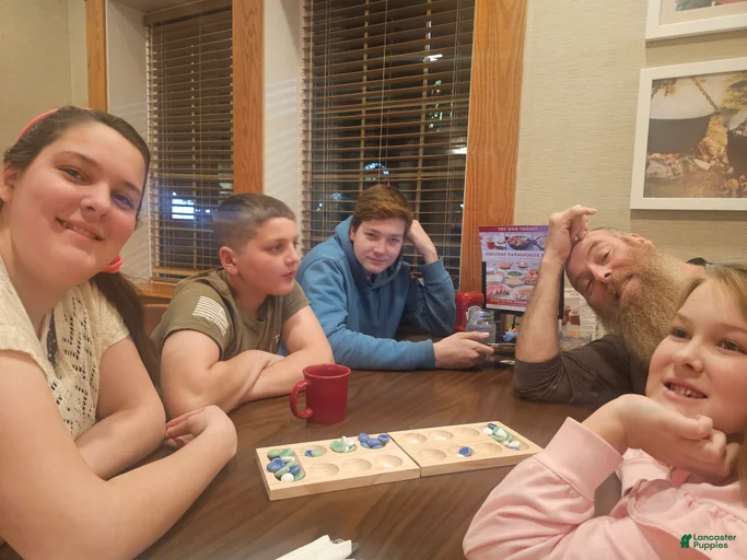 Gallery Image {{count}}