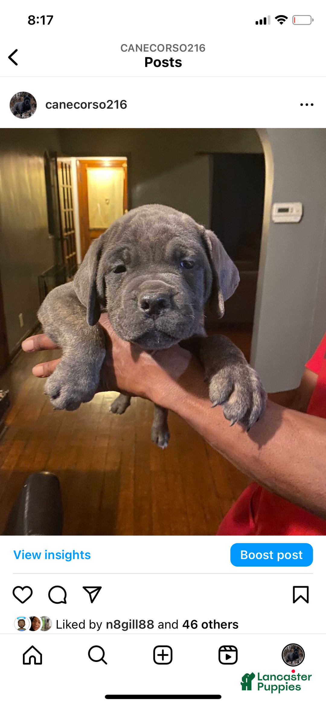 Gallery Image {{count}}