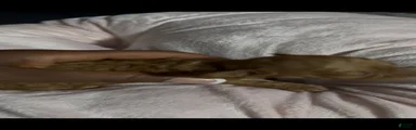 Acorn