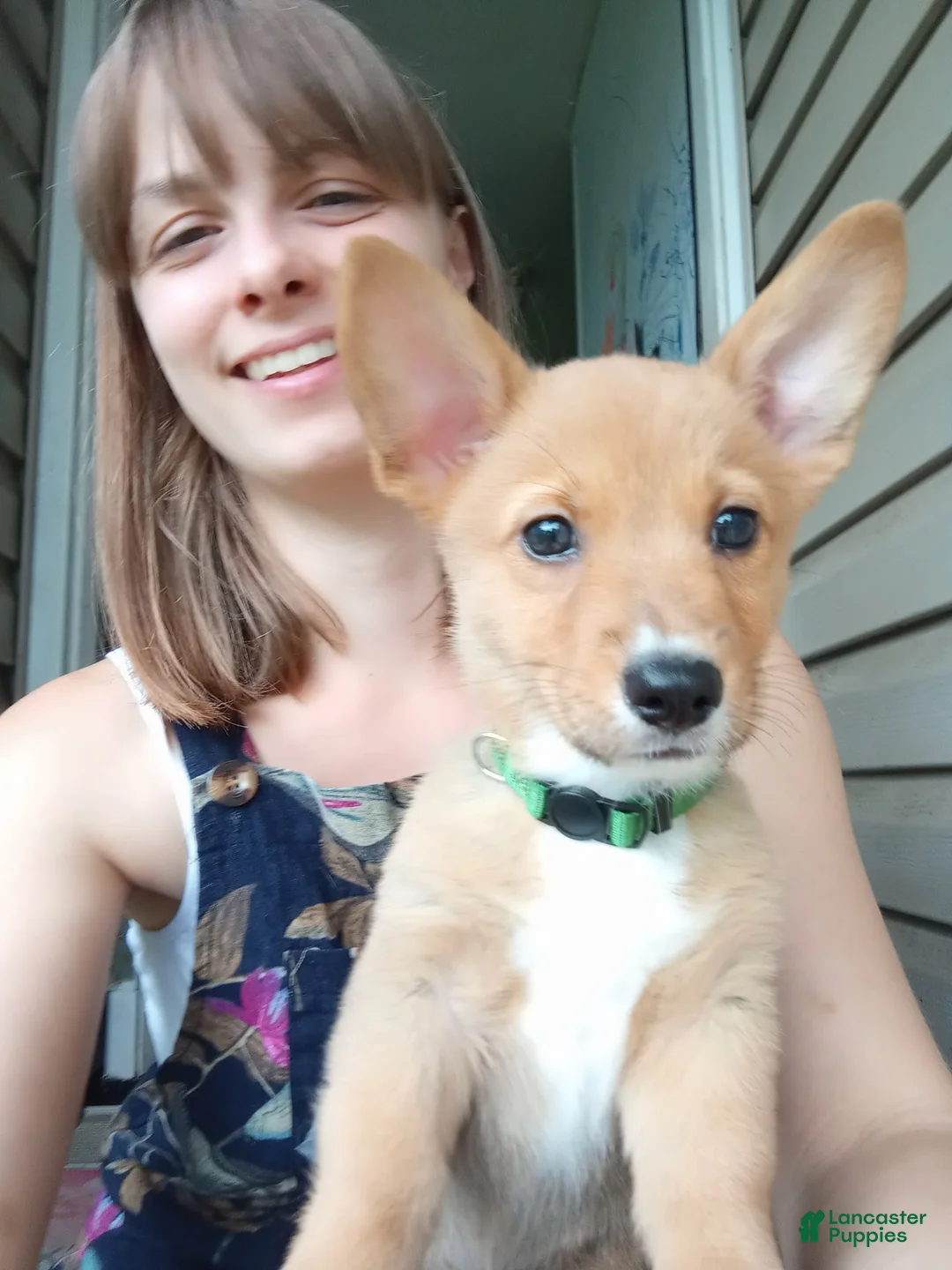 Gallery Image {{count}}