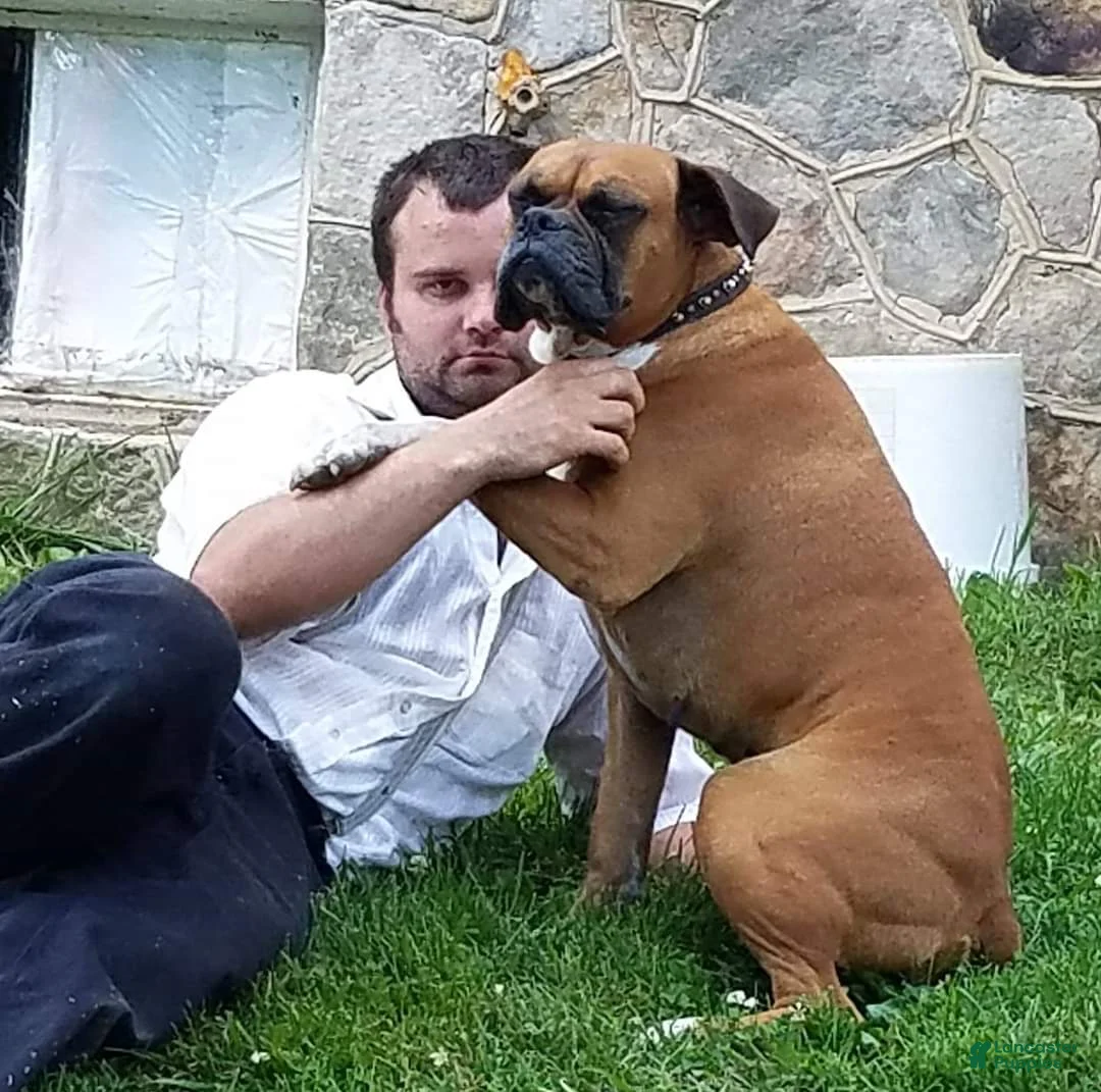 Gallery Image {{count}}