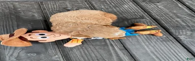Woody