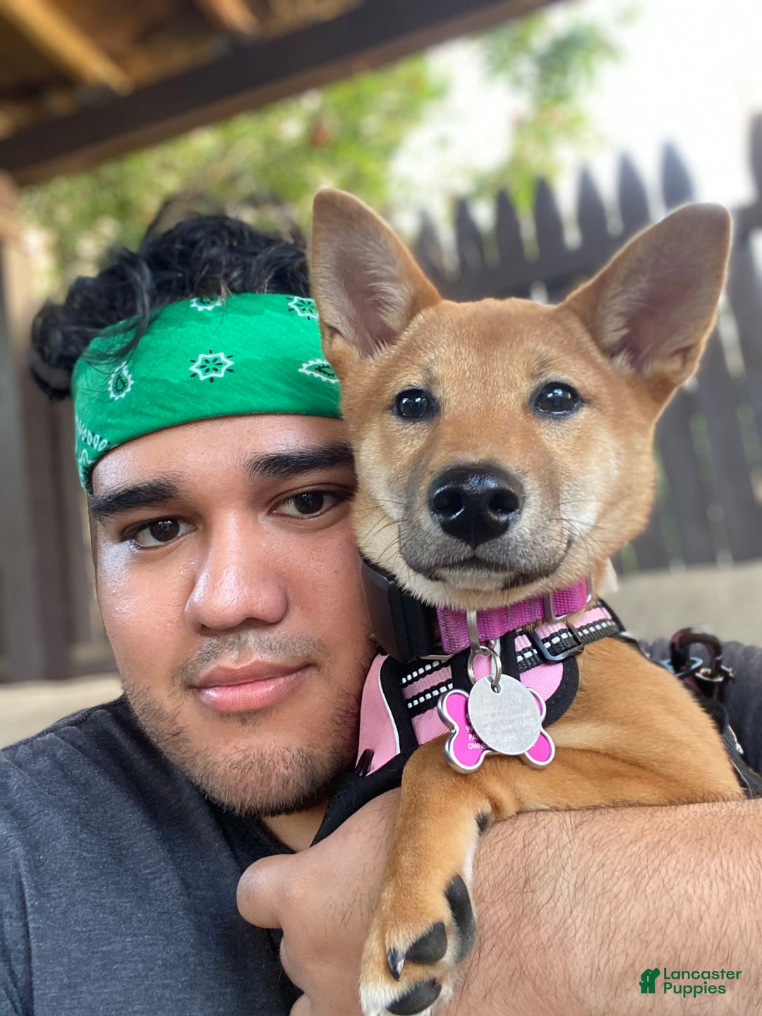 Gallery Image {{count}}