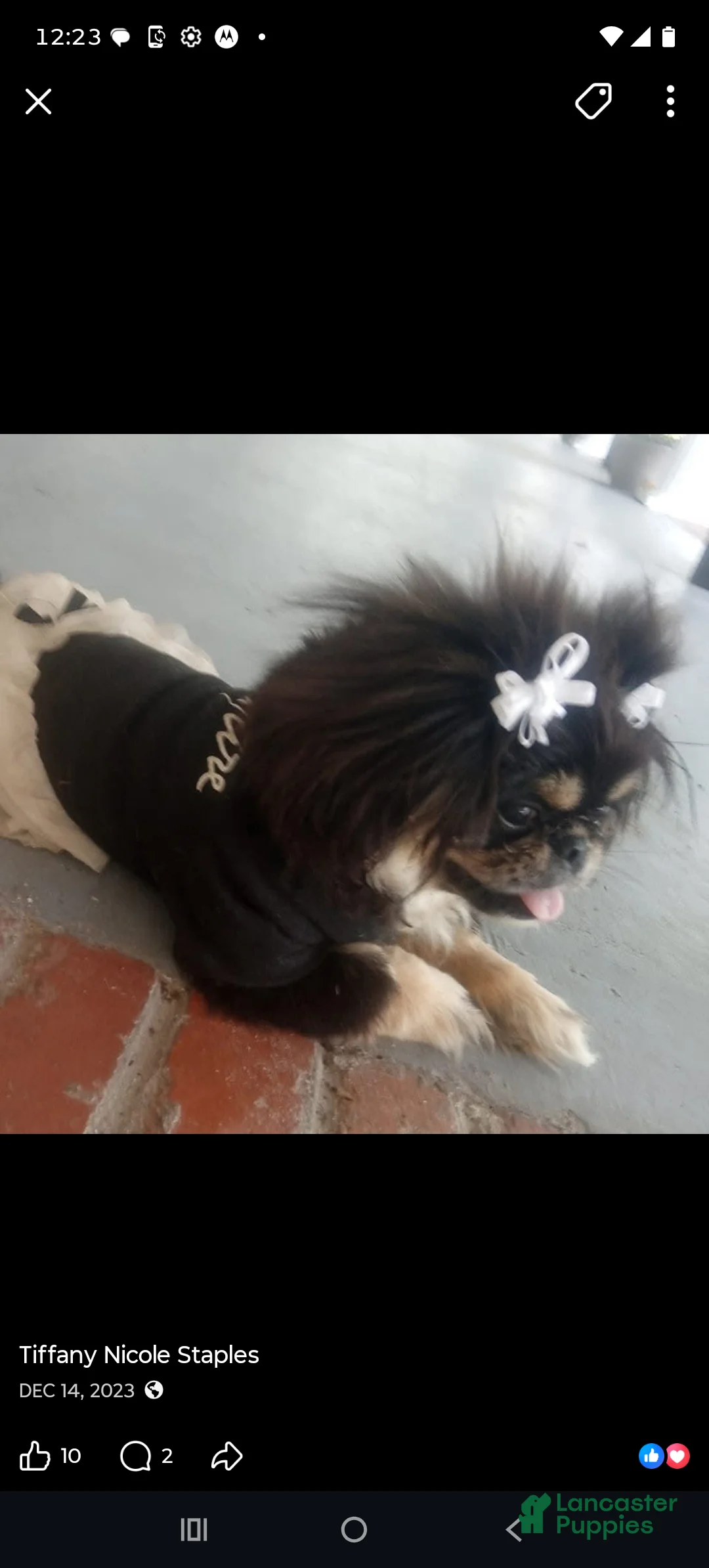 Gallery Image {{count}}