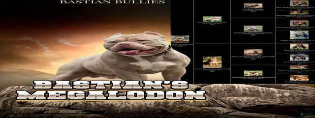 Bastians Megalodon