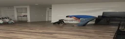 Doberman Pinscher dogs for sale: Doberman Pinscher 4 - Ad 5