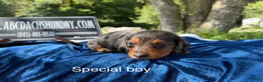 Special boy discounted!!!