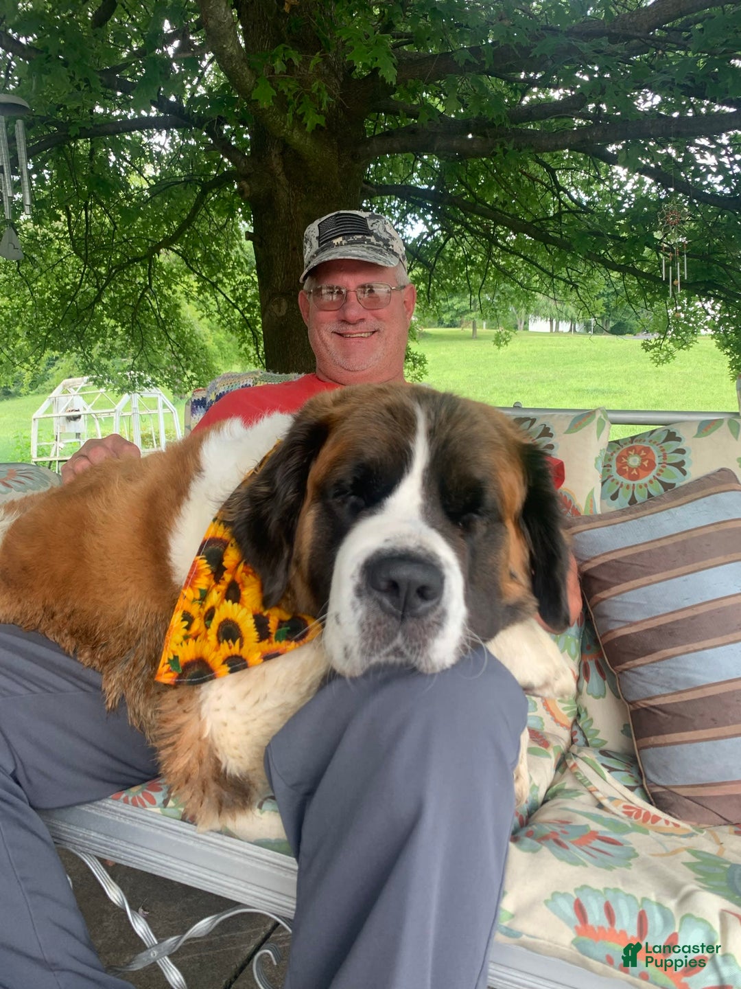 Gallery Image {{count}}