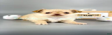 Ben