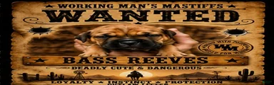 Bass Reeves