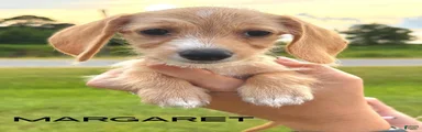 Margaret