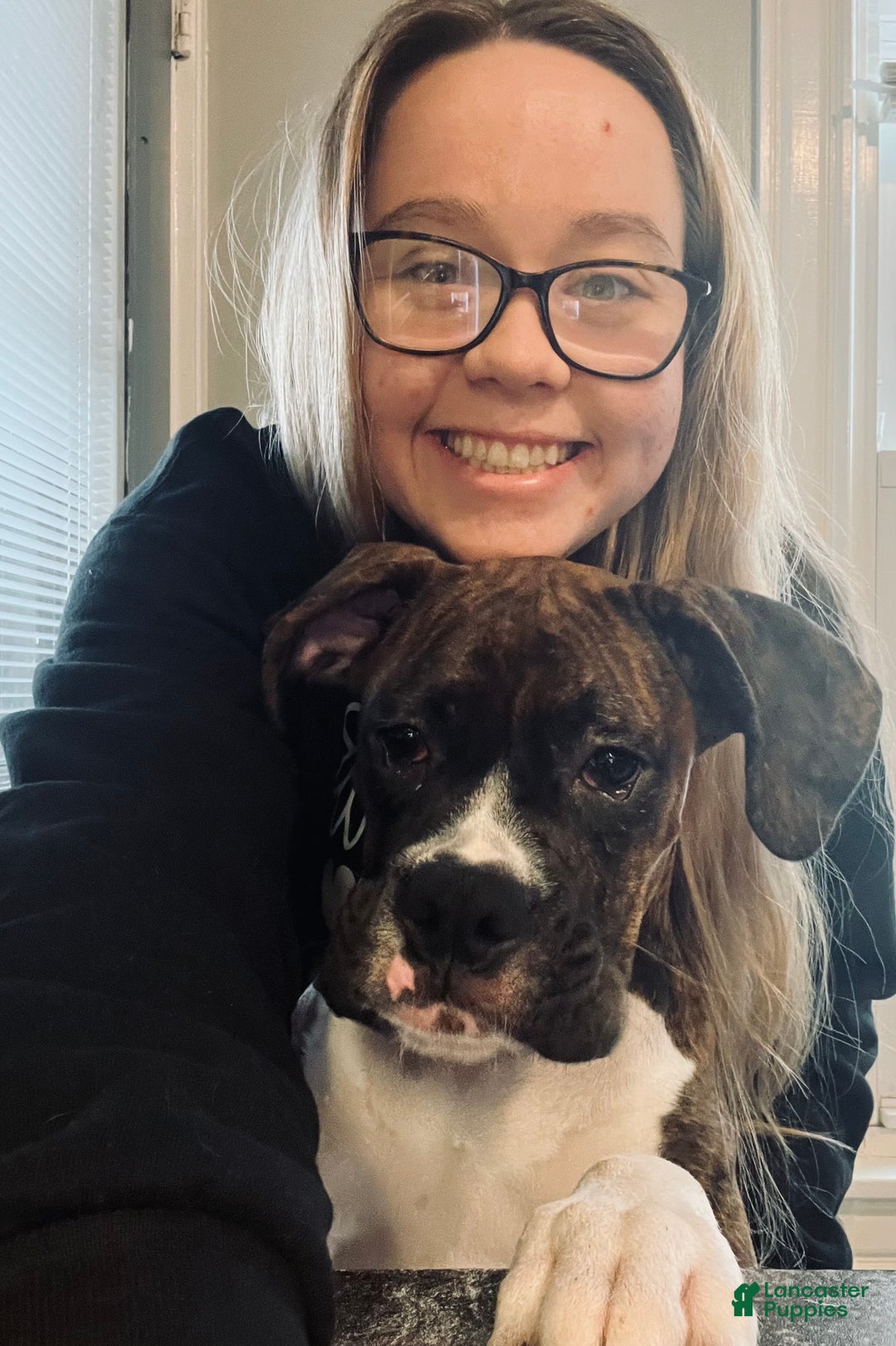 Gallery Image {{count}}