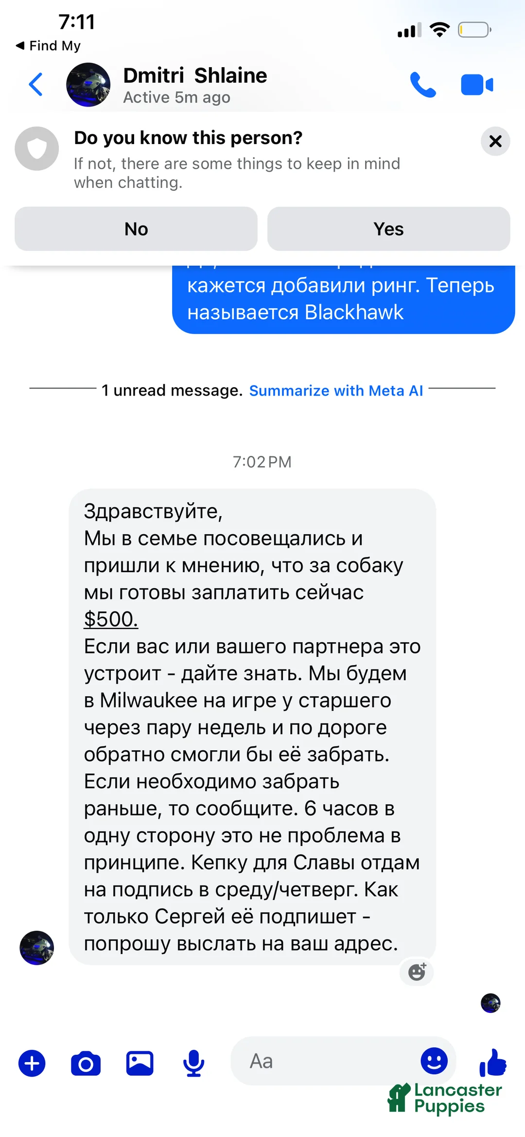 Maltipoo dogs for sale: Maltipoo Puppy 1 - Ad 4