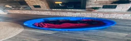 Labrador Retriever dogs for sale: Miles - Ad 5