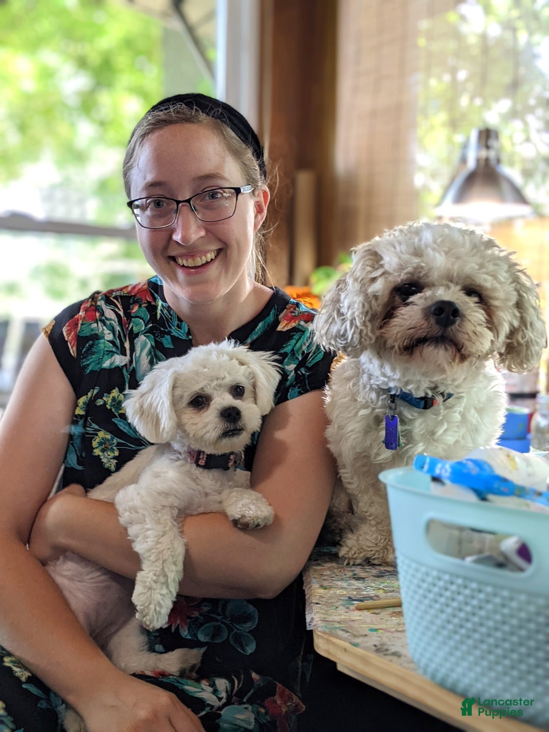 Gallery Image {{count}}