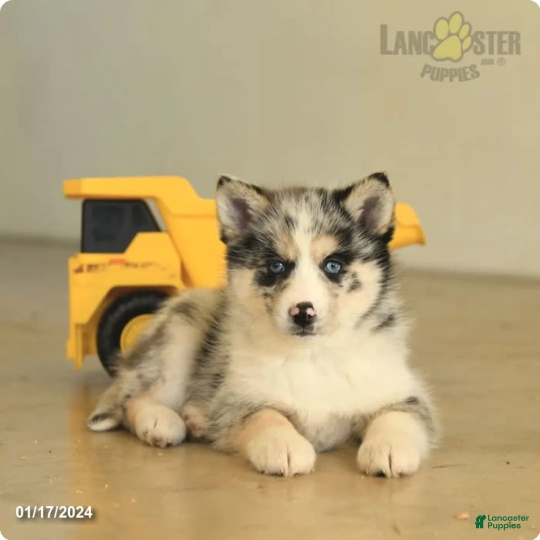 Gallery Image {{count}}