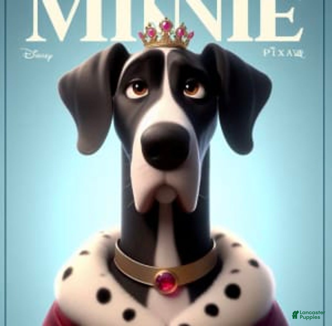 Gallery Image {{count}}