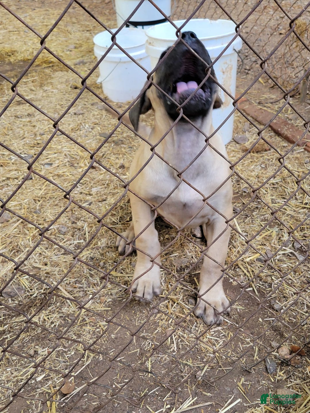 Gallery Image {{count}}