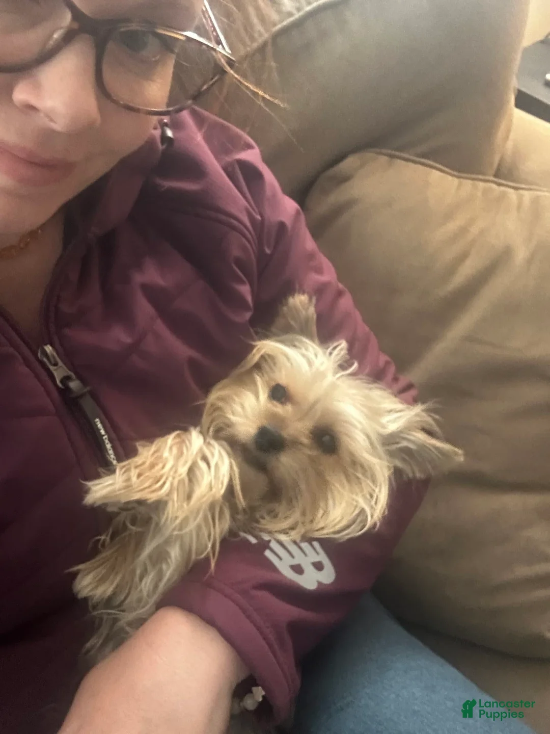 Gallery Image {{count}}